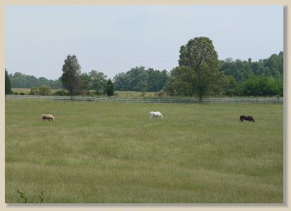 foxbrier011002.jpg