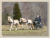 foxbrier012003.jpg