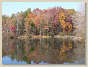 foxbrier014003.jpg